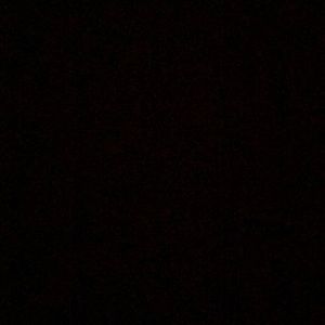 Meet your Posher, Hector